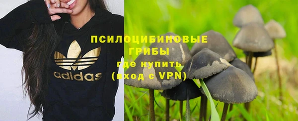 мет Нефтегорск