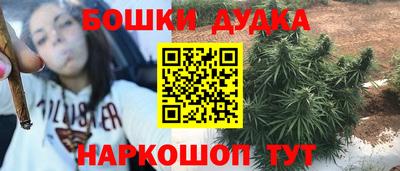 гидропоника Гусев