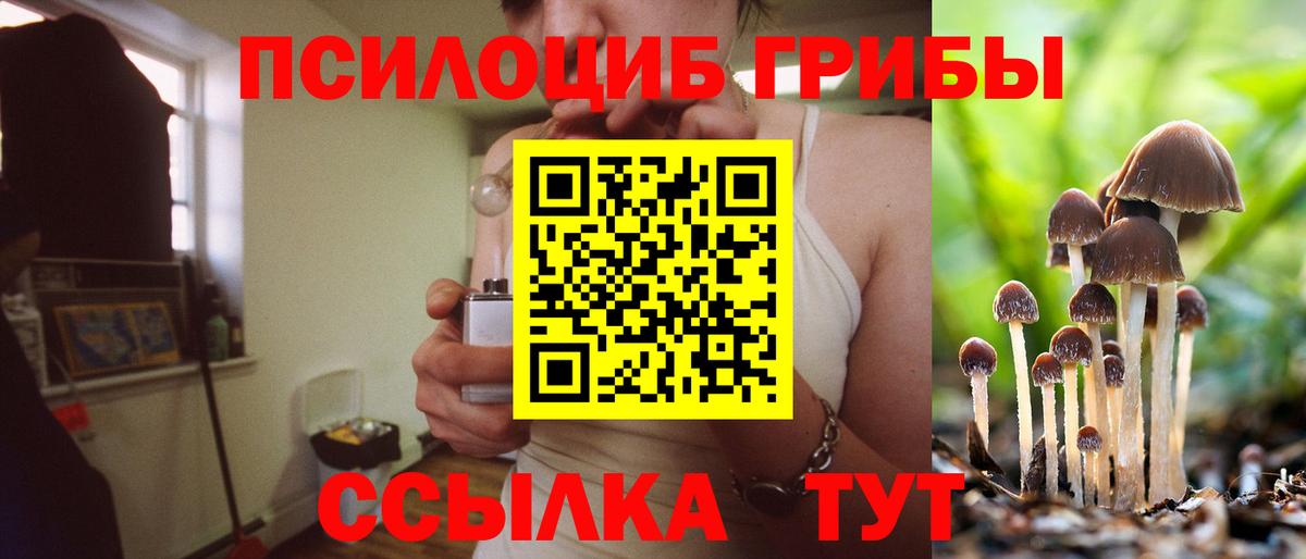 Галлюциногенные грибы мицелий  Котовск  хочу   Галлюциногенные грибы Magic Shrooms 