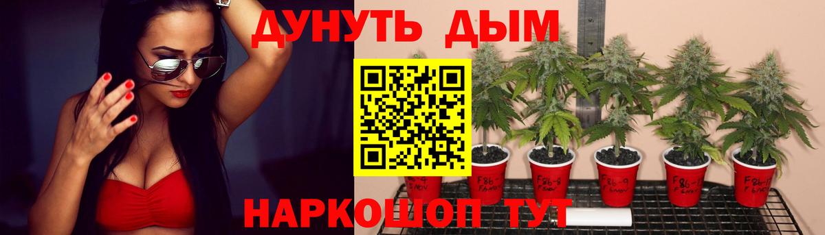 Конопля план  Марихуана VHQ  Вход с VPN  Шишки марихуана Ganja  Котовск  Бошки Шишки Bruce Banner 